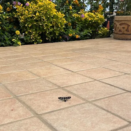 בית נופש Residenza De Luca טרופאה