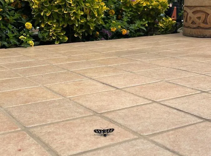 Casa de Férias Residenza De Luca Tropea